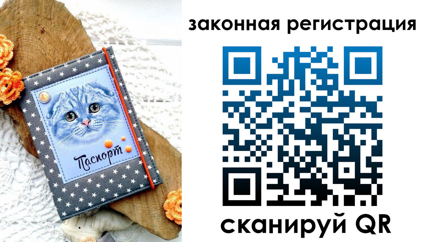 регистрация в Дальнереченске
